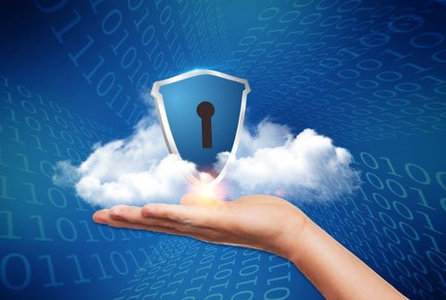 一次黑天鵝事件引發的互聯網安全大科普 筑牢數字時代的防護盾